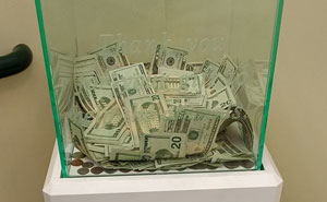 Anonymous Person Just Put $8,000 into This Animal Shelter's Donation Box