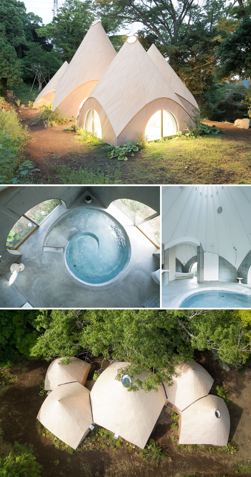 Japanese Architect Created An Unique Forest House For 2 Retired Ladies