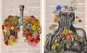 Floral Anatomical Illustrations Breathe New Life Into Old Discarded Books