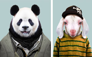 This Artist Spent 3 Years 'Dressing' Zoo Animals Like Humans And The Clothes Fit Unbelievably Well