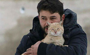 People Are Fleeing War-Torn Aleppo But This Man Is Staying To Care For Abandoned Cats