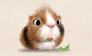 Incredibly Cute Animal Illustrations By Sydney Hanson Will Make You Smile