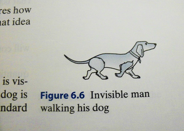The Most Random And Hilarious Things Found In Textbooks