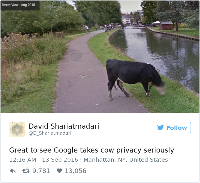 google-blurred-cow-face-privacy-1.png