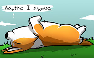 Meet Ichabod, The Most Optimistic Canine That Will Instantly Make You Smile