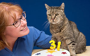 World's Oldest Cat Is 31 And Still Has Many Lives Left