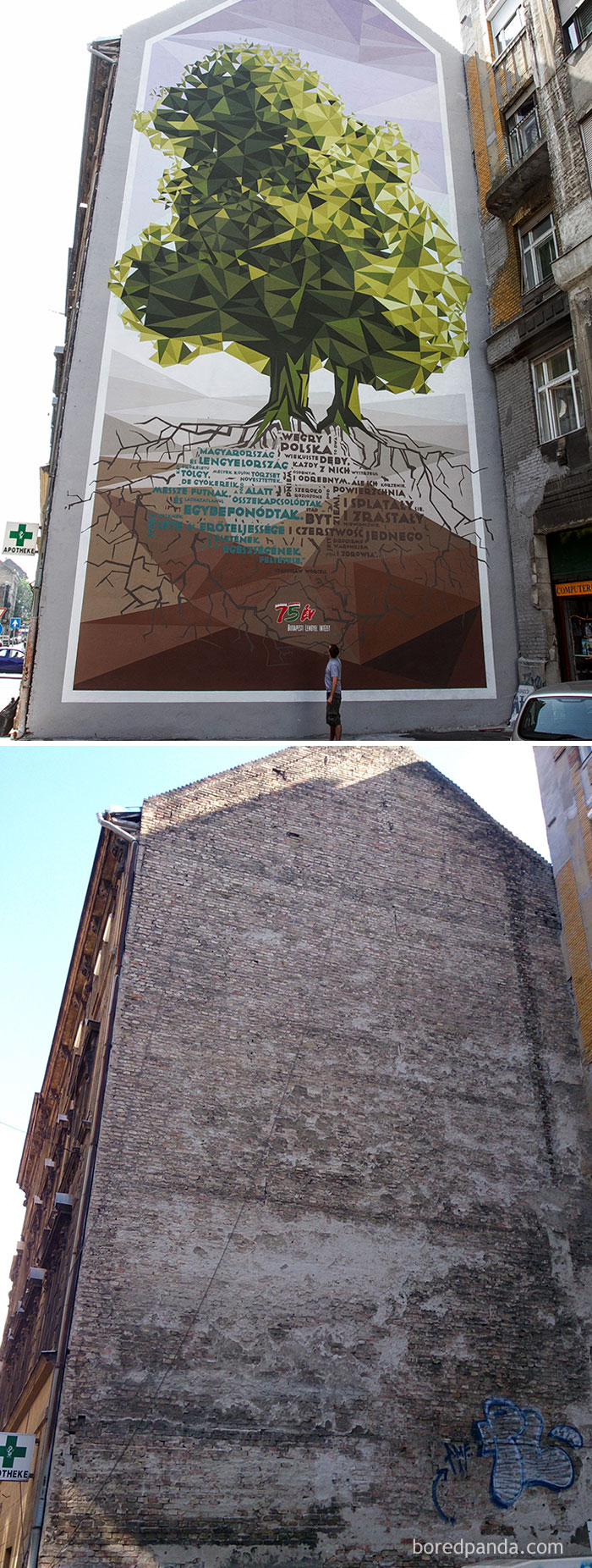 before-after-street-art-boring-wall-transformation-5-580df98ae2507__700.jpg