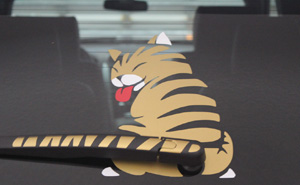 15+ Of The Most Creative Car Owners Ever