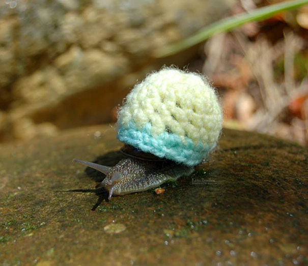 Teeny Tiny Snail Sweater