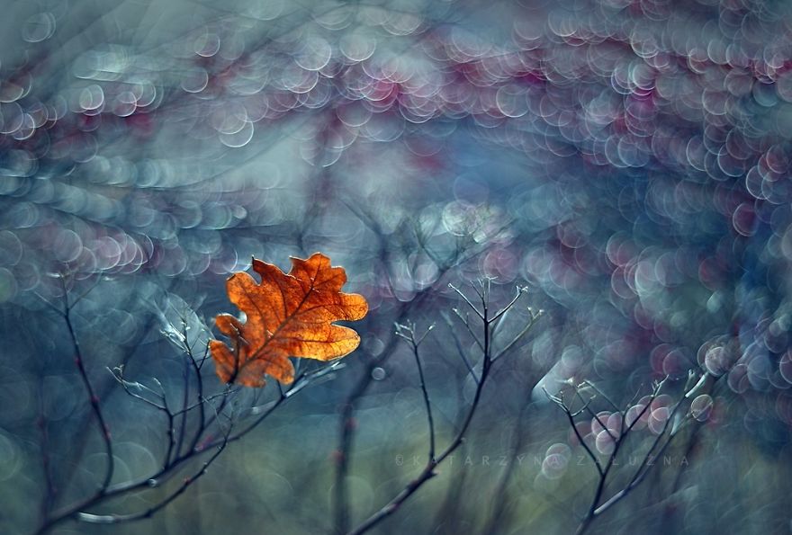 impressionist photos autumn poland 