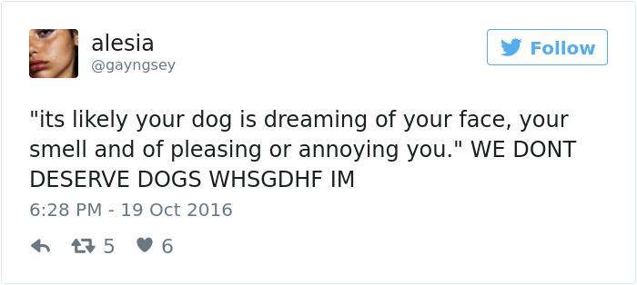 dogs-dream-about-humans-6