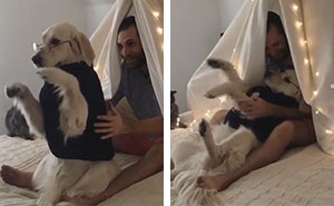 Guy Teaches Dog To Trust Fall