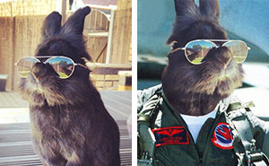 Somebody Put Sunglasses On A Bunny And It Started An Epic Photoshop Battle (10+ Pics)