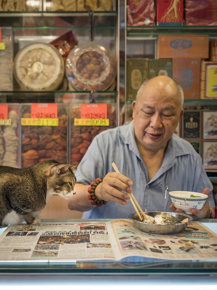 Shop Cats