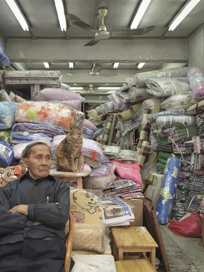 Shop Cats