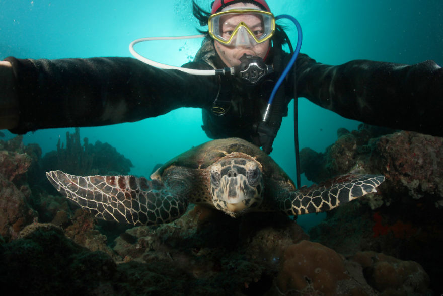 I Take Underwater Selfies With Ocean Wildlife Like A Boss