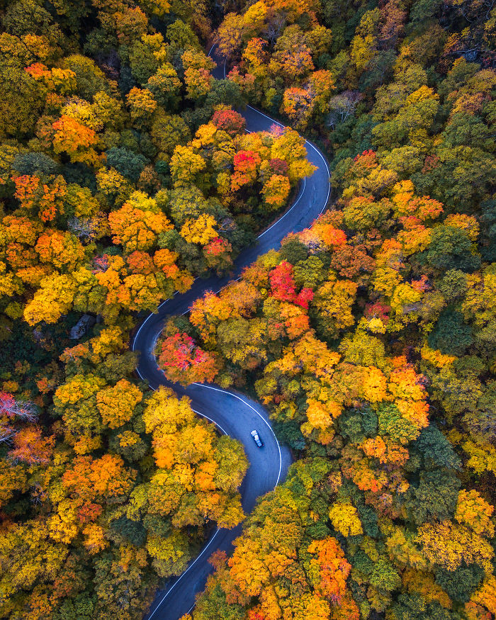 We Drove Through Every State In Northeast US To Photograph The Beauty Of Fall