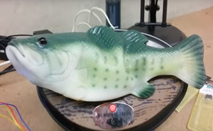 Some Genius Hacked Amazon’s Alexa And Turned It Into Big Mouth Billy Bass
