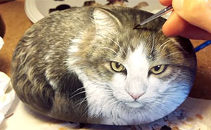 This Cat Is Actually A Rock