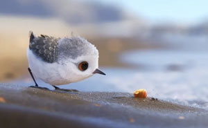 Pixar's New Short Film 'Piper' Is The Most Adorable Thing Ever And You Can Watch It For FREE