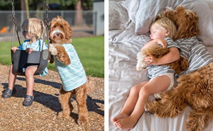 Heartwarming Friendship Between Boy And His Dog