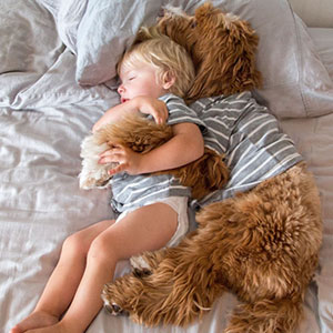 Adopted Labradoodle And His Boy Buddy Just Won The Internet