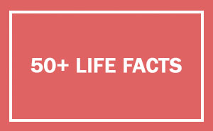 10+ Amazing Facts That Will Change The Way You See The World