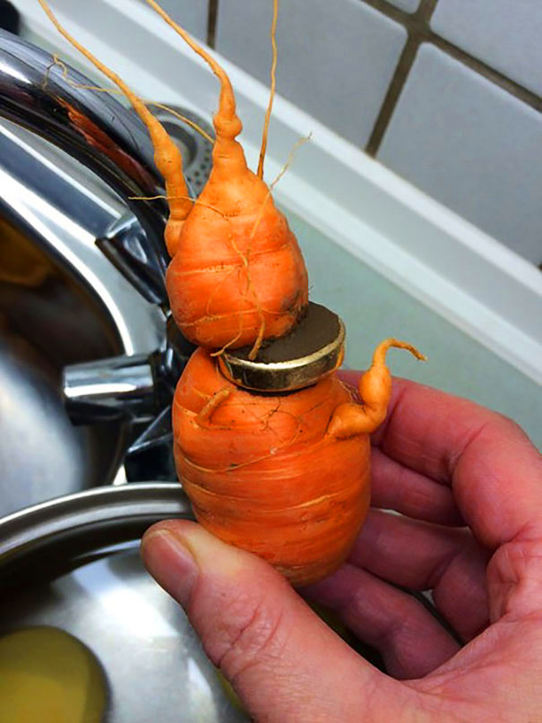 82-Year-Old Man Just Discovered His Lost Wedding Ring In Carrot From