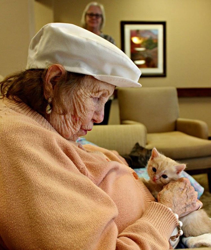 retirement-home-shelter-cats-6