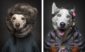 I Photograph Dogs As If They Were Humans