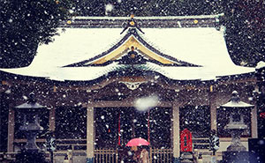Tokyo, Which Hasn't Seen November Snow In Over 50 Years, Surprised To Wake Up In A Winter Wonderland