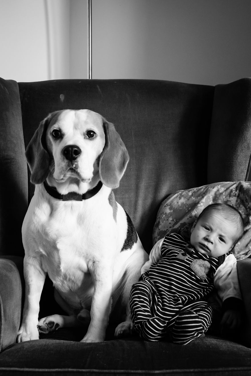 Ive Taken A Picture Of My Son And Beagle Every Month For The Last Two Years In The Same Chair