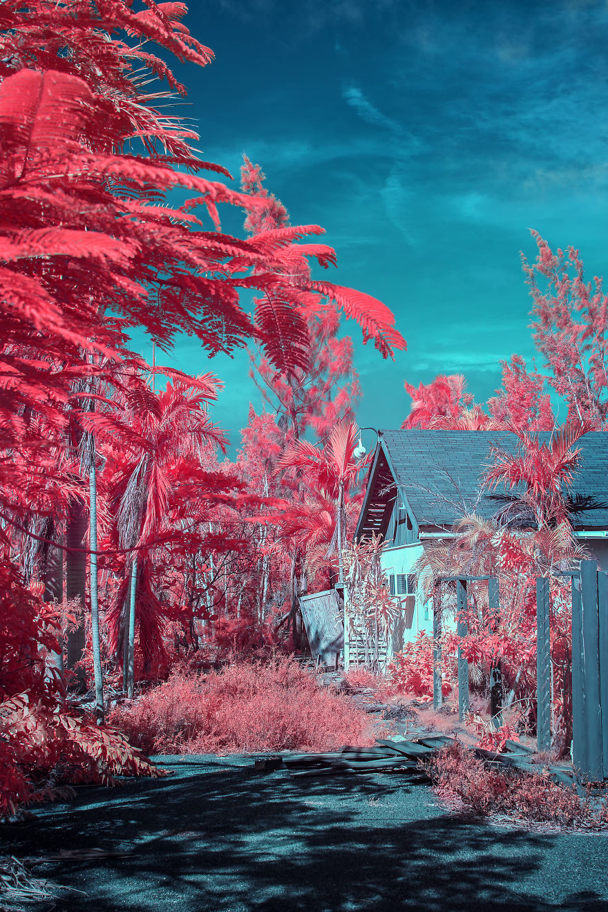 I See The World In Infrared