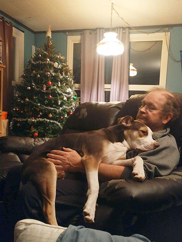 My dad who "doesn't want anything to do with the dog"