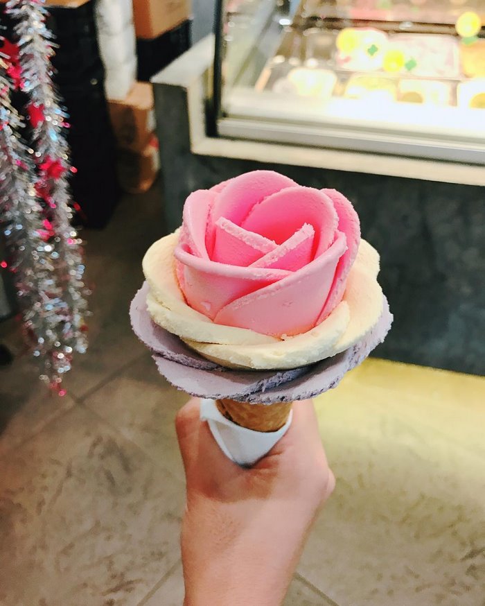 [Image: gelato-flowers-ice-cream-icreamy-10-5882...7__700.jpg]