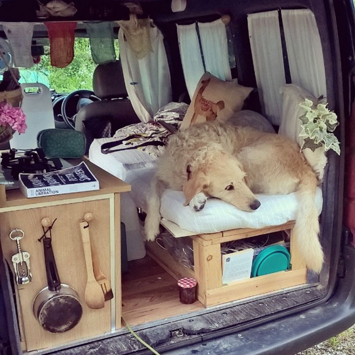 girl-restores-van-travels-with-dog-marina-piro-16