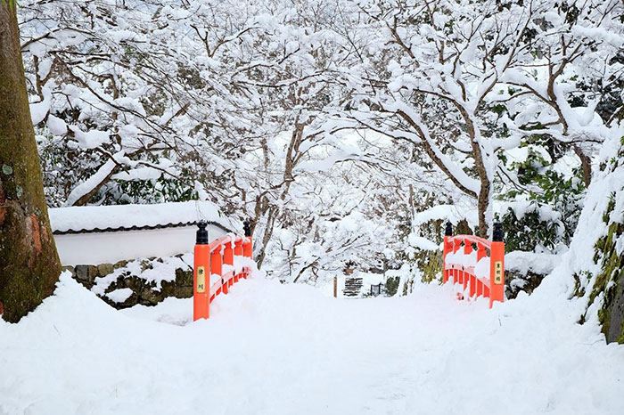 heavy-snowfall-kyoto-japan-2017-43-587dd854b25cc__700.jpg