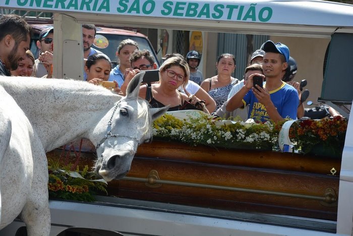 horse-goodbye-owner-funeral-brasil-5