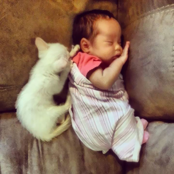 tiny-kitten-baby-girl-best-friends-3.jpg