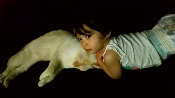 tiny-kitten-baby-girl-best-friends-8a.jpg