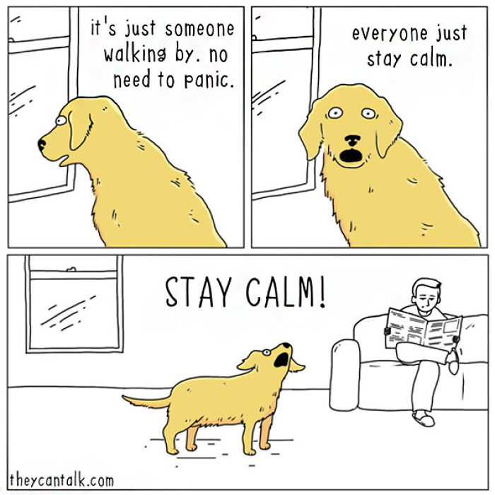 Funny Animal Comics