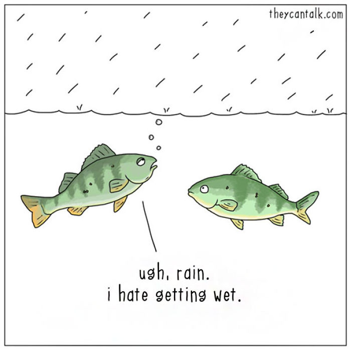 Funny Animal Comics