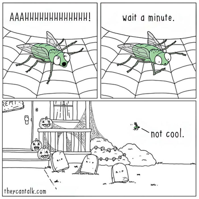 Funny Animal Comics
