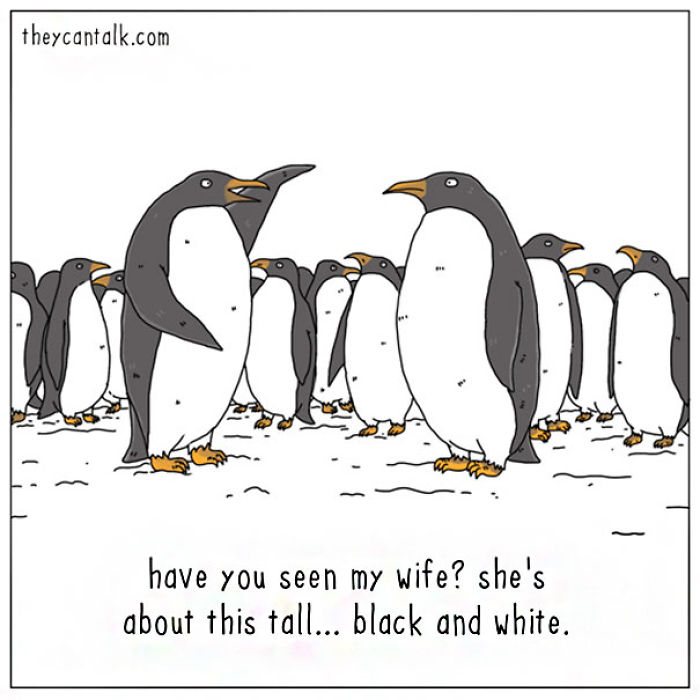 Funny Animal Comics