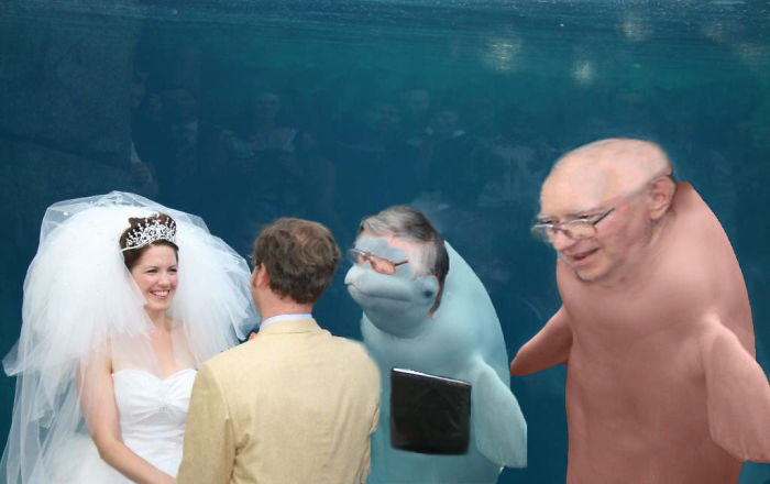 Una beluga se coló en la foto de una boda y los memes no tardaron en llegar