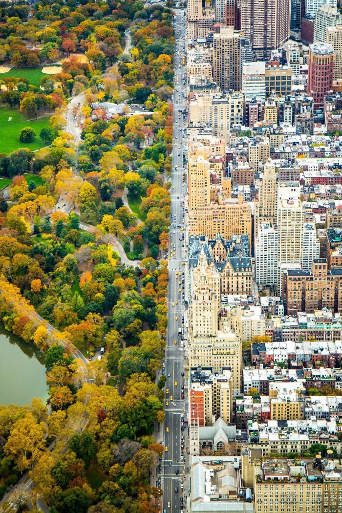 A Split Of Two Worlds Between The Architecture Of The City And The Green Of Central Park, New York