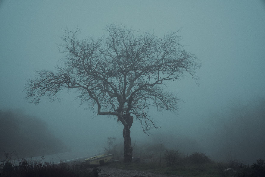  drive around find photograph dreamy foggy scenes 