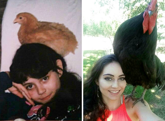 Nearly 20 Years Later, Chickens Are Still My Best Friend