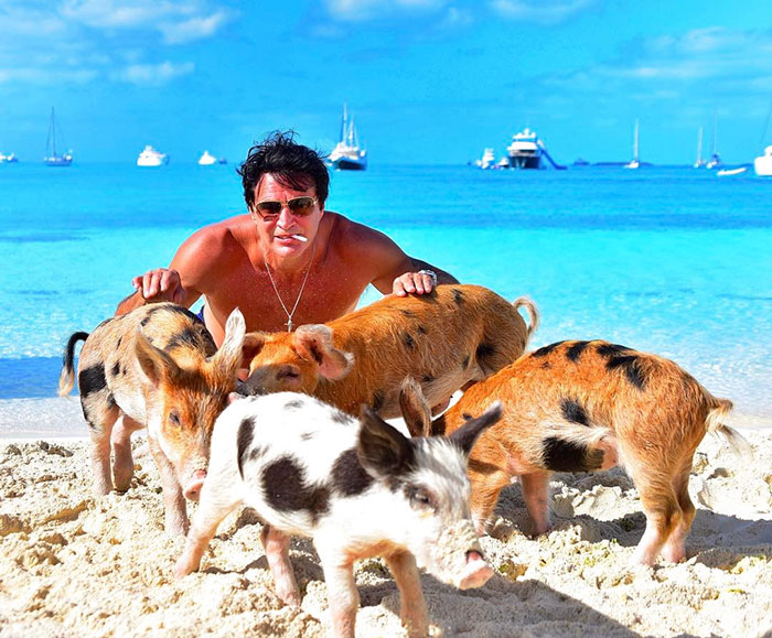 swimming-pigs-dead-tourist-alcohol-baham