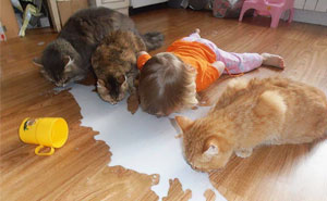 10+ Reasons Why You Shouldn't Leave Your Pets With Kids